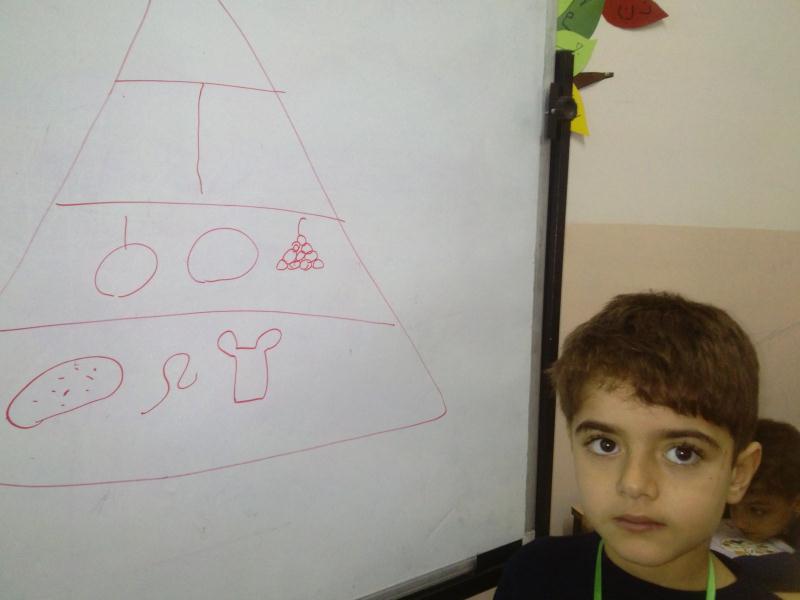 هرم مواد غذایی